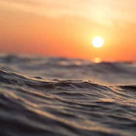 益宝竹琨毛巾项目的亮点